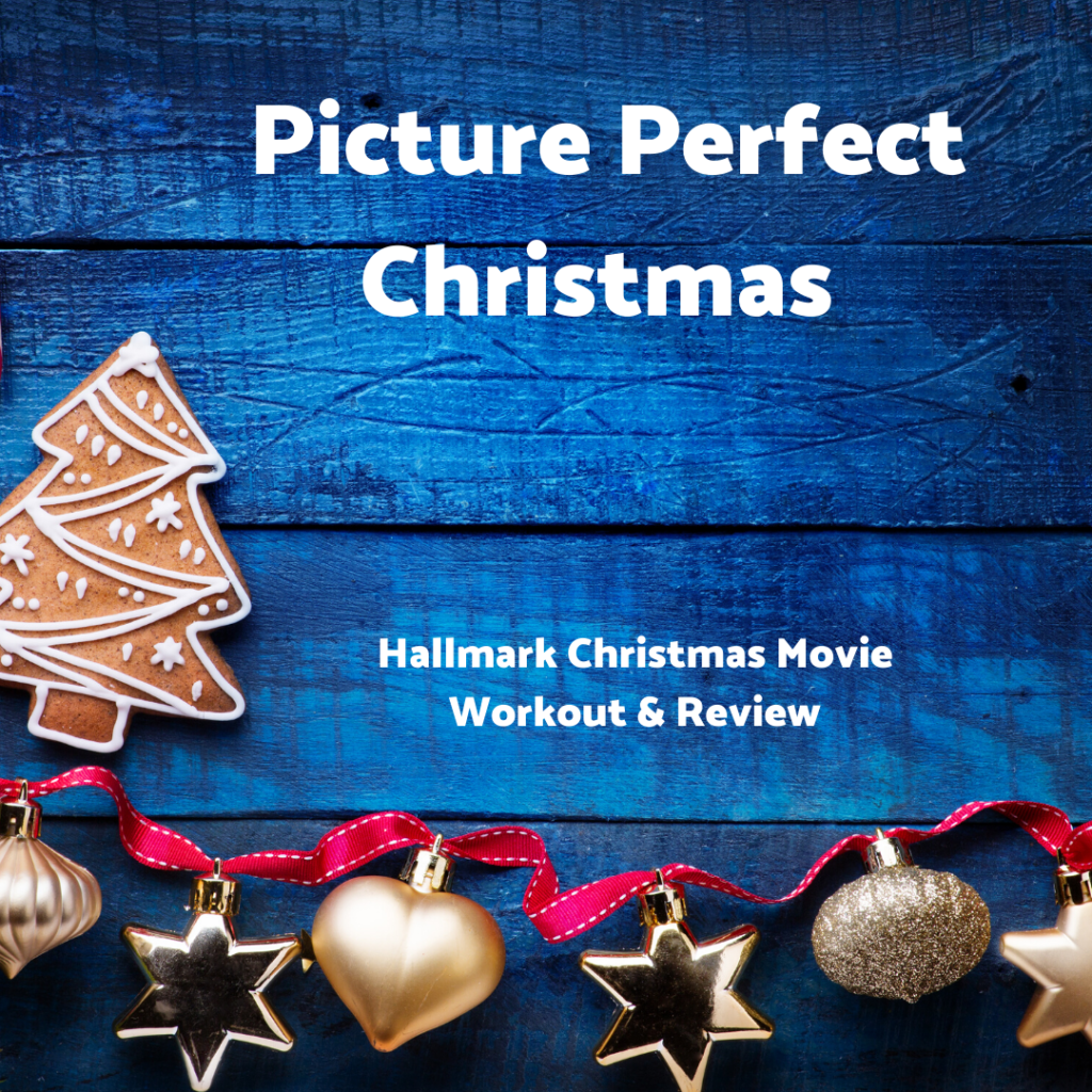 Picture A Perfect Christmas Andrea Claassen