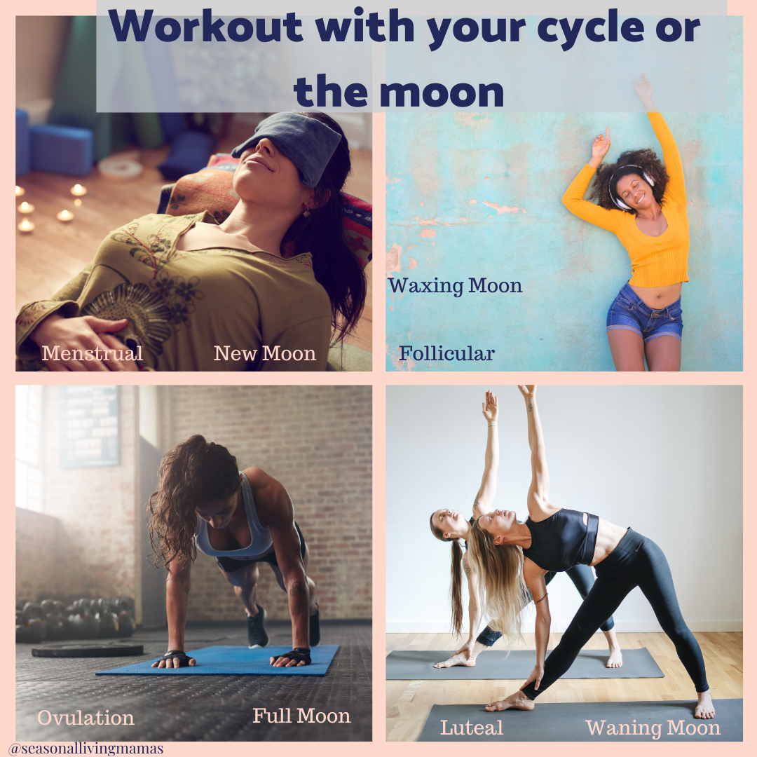 Workout with your cycle2
