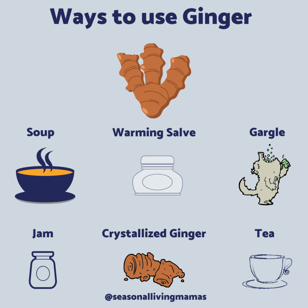 Ginger Benefits