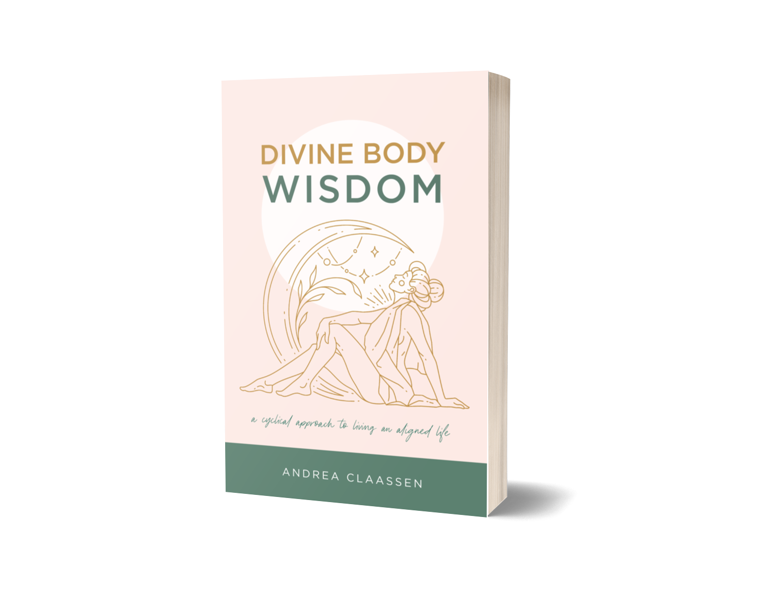 Divine-Body-Wisdom (3D)