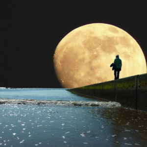moonlight walk