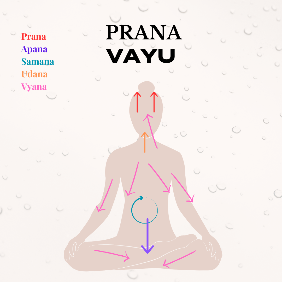 Prana Vayu